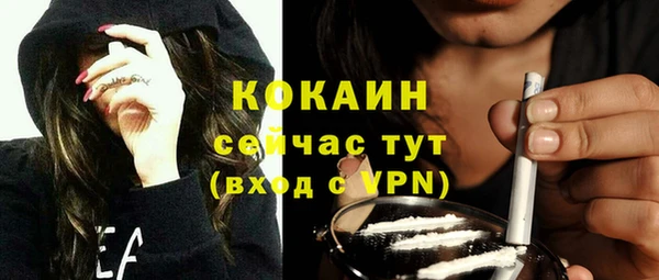 шишки Вяземский