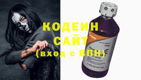 шишки Вяземский