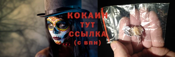 шишки Вяземский