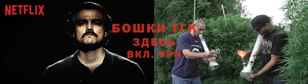 шишки Вяземский