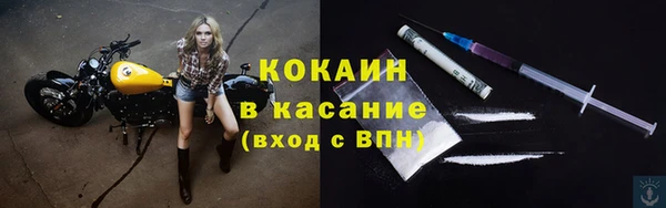 шишки Вяземский