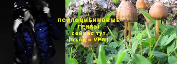 эйфоретик Пересвет