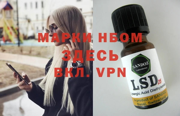 шишки Вяземский