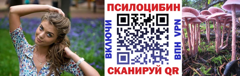Галлюциногенные грибы мицелий  Купить где  Мураши 