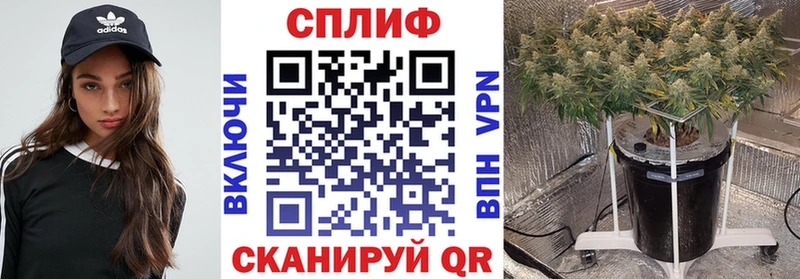 Купить  Мураши  Бошки марихуана LSD WEED 